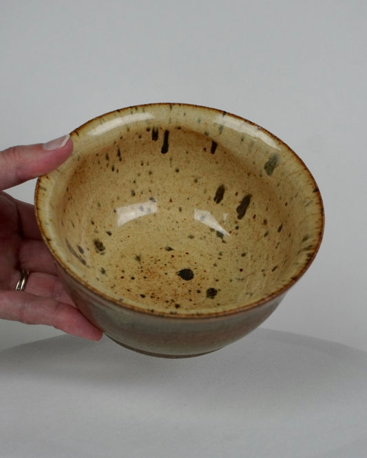 Iron Speckled Bowl
