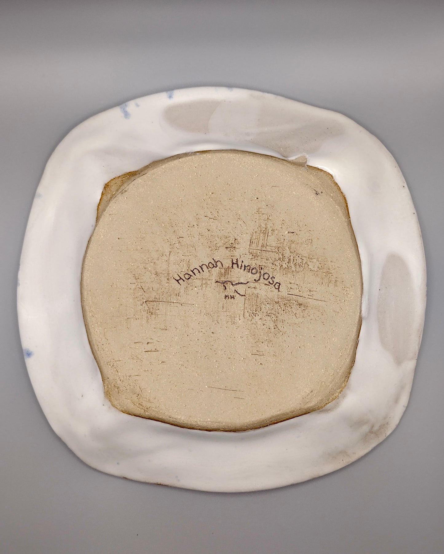 Blue Ink Speckle Plate