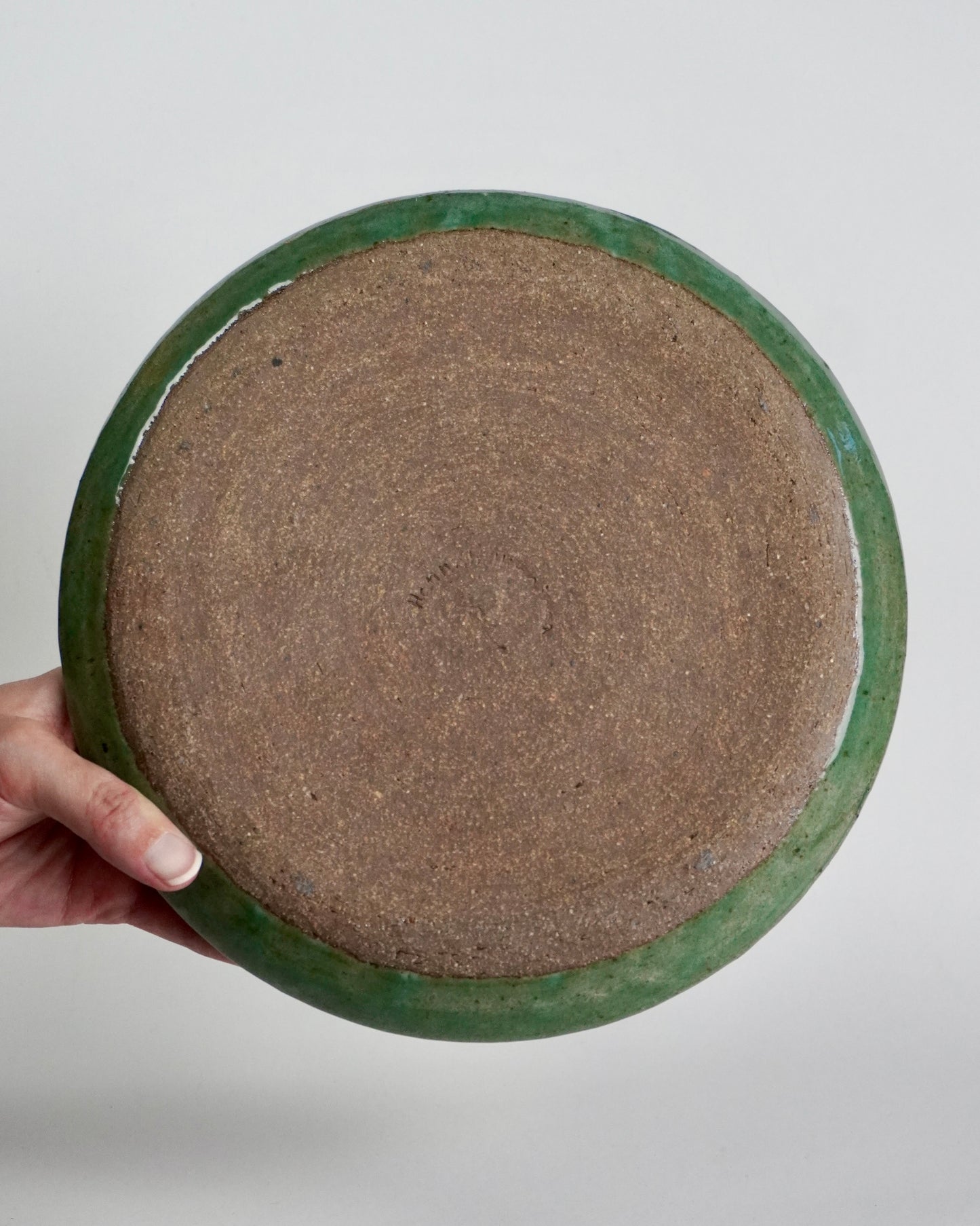 Green Leaf Dinner Plate