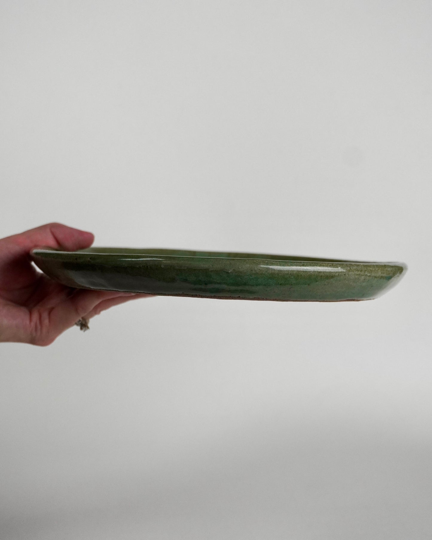 Green Leaf Dinner Plate