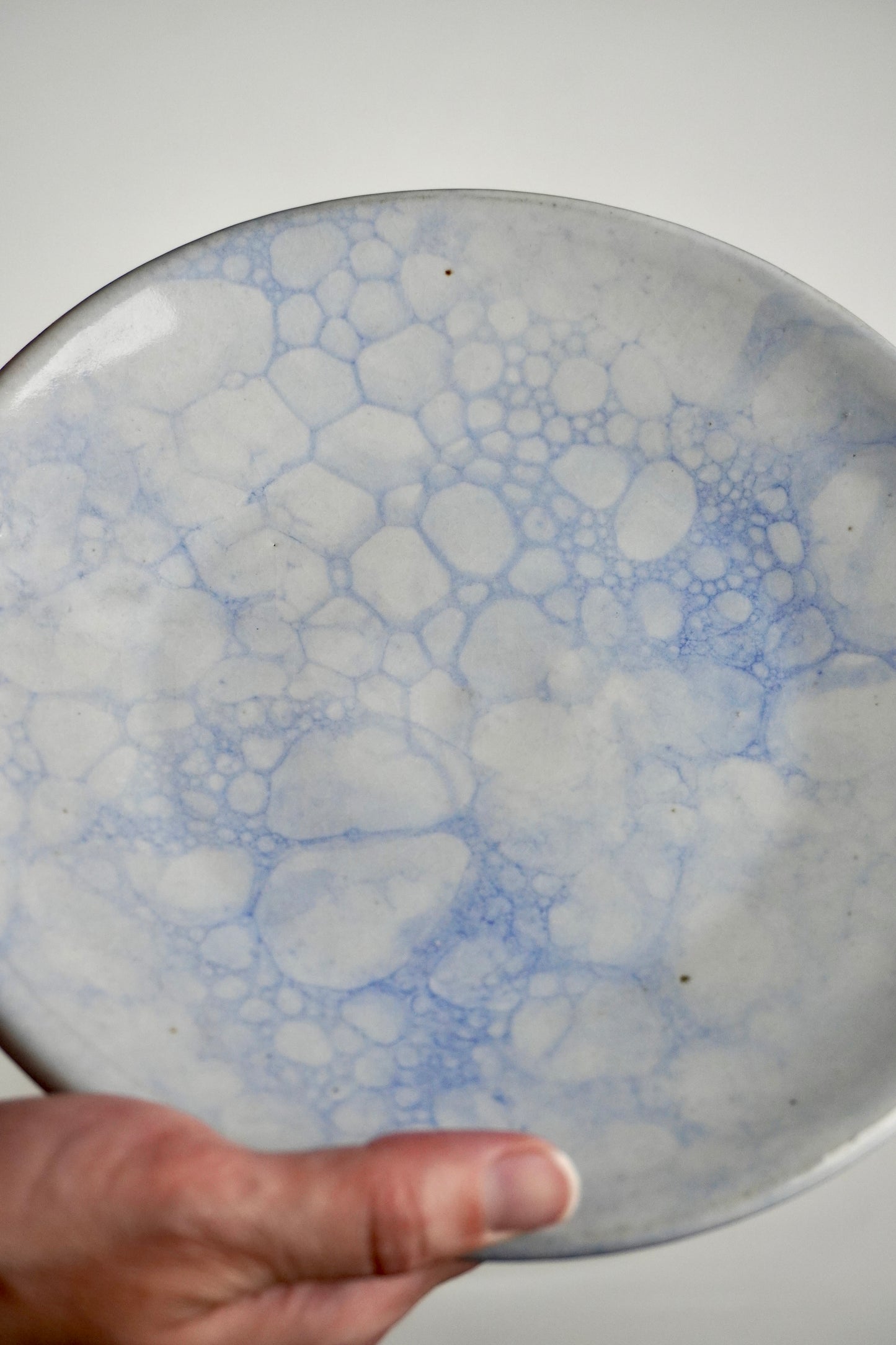 Double Bubble Plates (Set of 2)